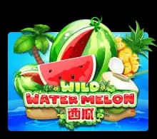 Wild Watermelon